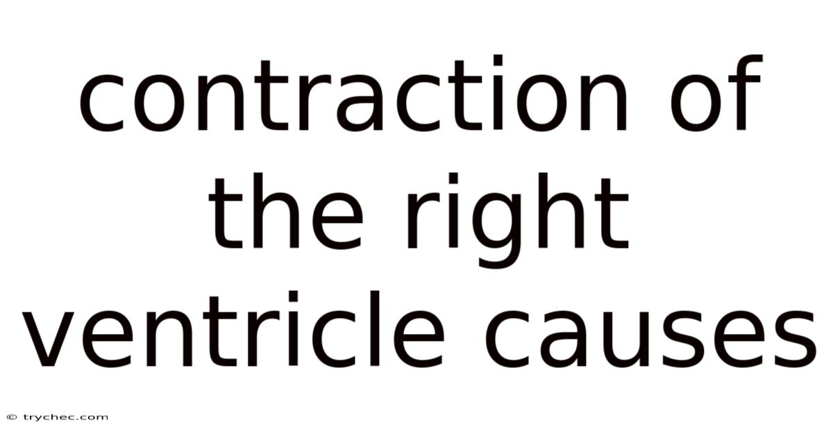 Contraction Of The Right Ventricle Causes