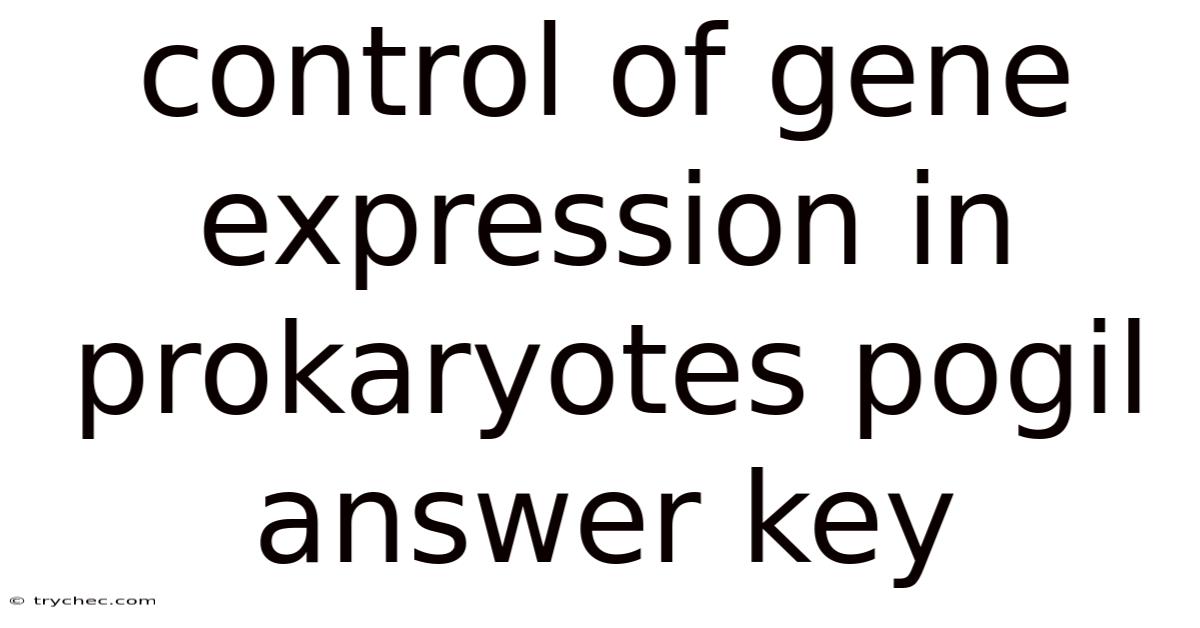 Control Of Gene Expression In Prokaryotes Pogil Answer Key