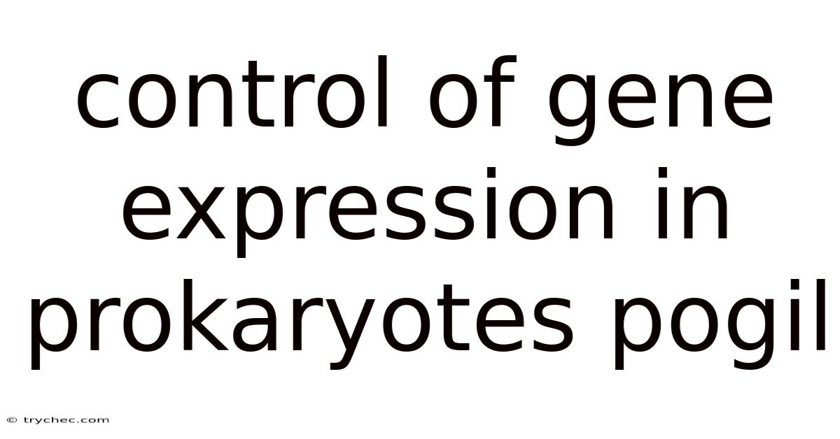 Control Of Gene Expression In Prokaryotes Pogil