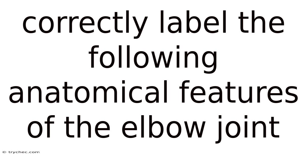 Correctly Label The Following Anatomical Features Of The Elbow Joint