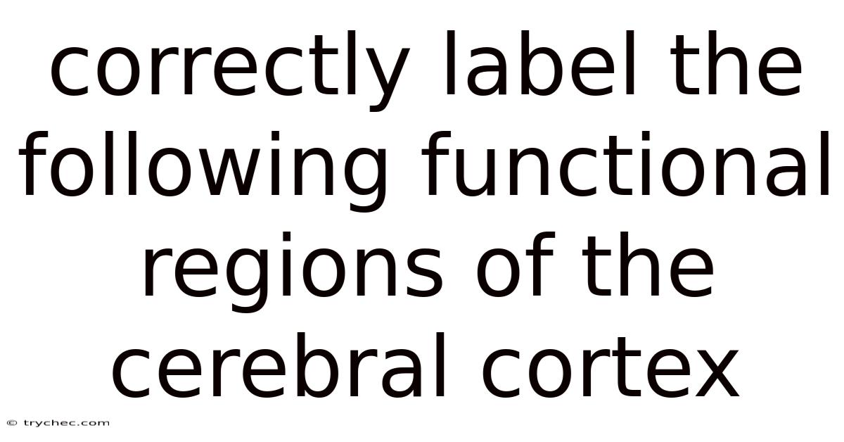 Correctly Label The Following Functional Regions Of The Cerebral Cortex