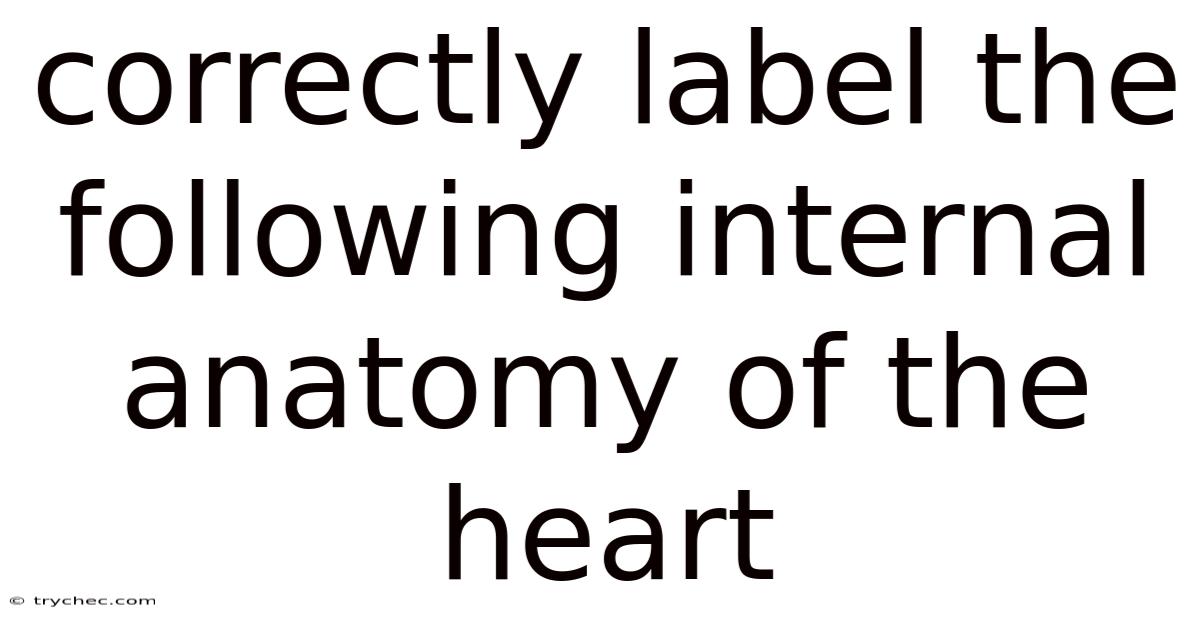 Correctly Label The Following Internal Anatomy Of The Heart