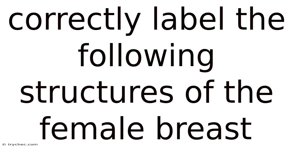 Correctly Label The Following Structures Of The Female Breast
