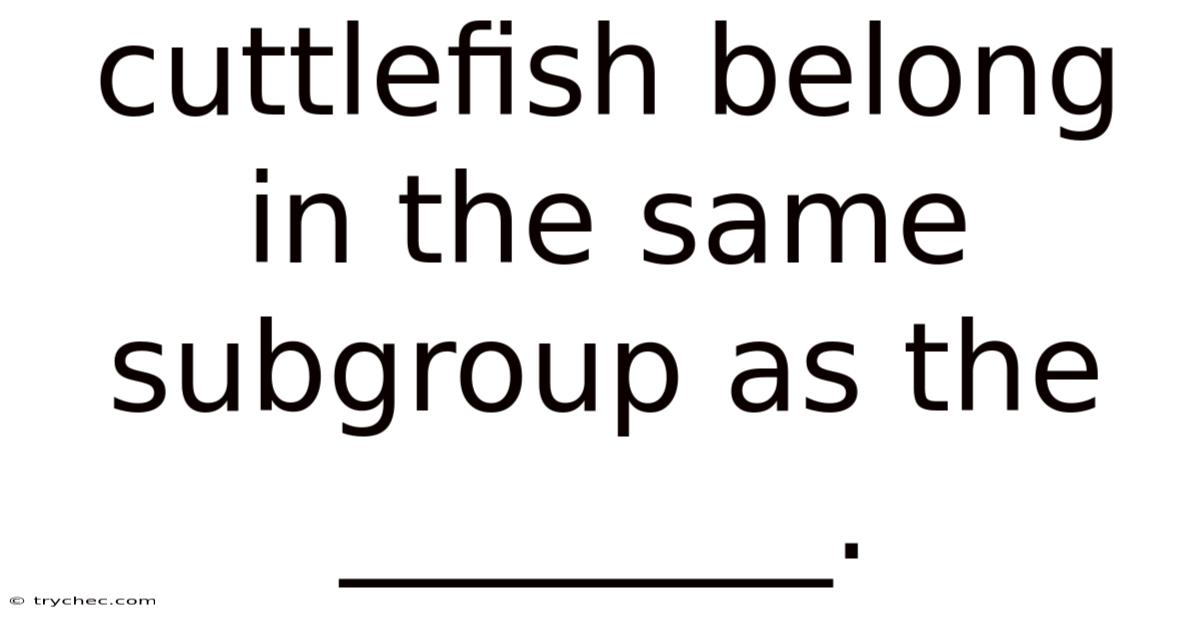 Cuttlefish Belong In The Same Subgroup As The ________.