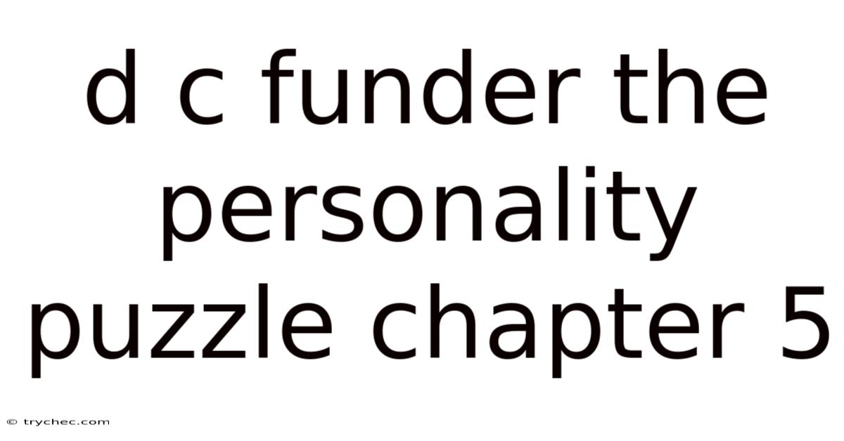 D C Funder The Personality Puzzle Chapter 5