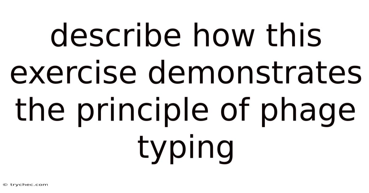 Describe How This Exercise Demonstrates The Principle Of Phage Typing