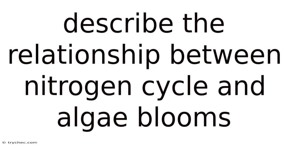 Describe The Relationship Between Nitrogen Cycle And Algae Blooms