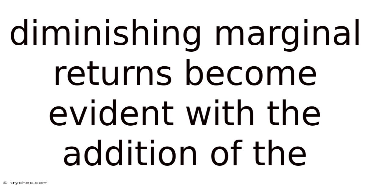 Diminishing Marginal Returns Become Evident With The Addition Of The