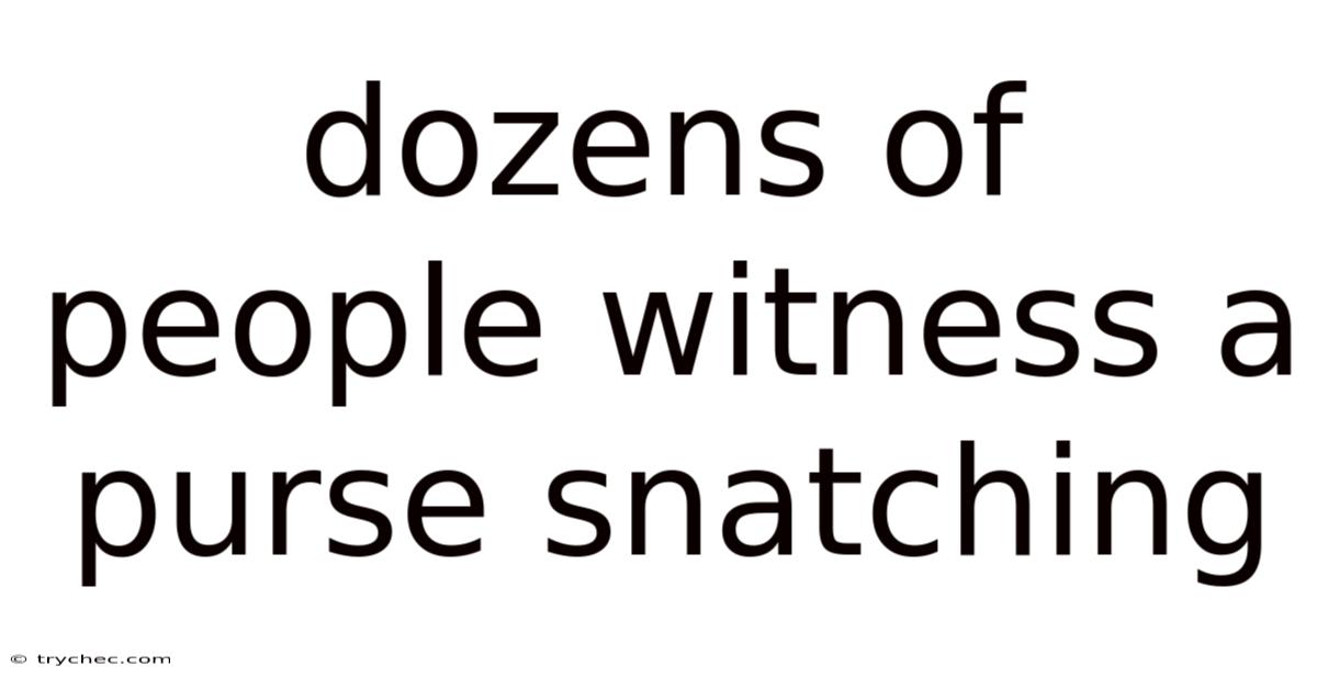 Dozens Of People Witness A Purse Snatching