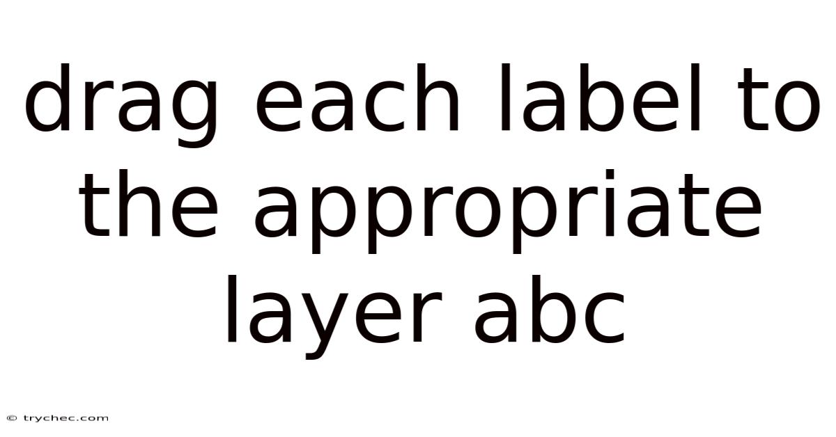 Drag Each Label To The Appropriate Layer Abc