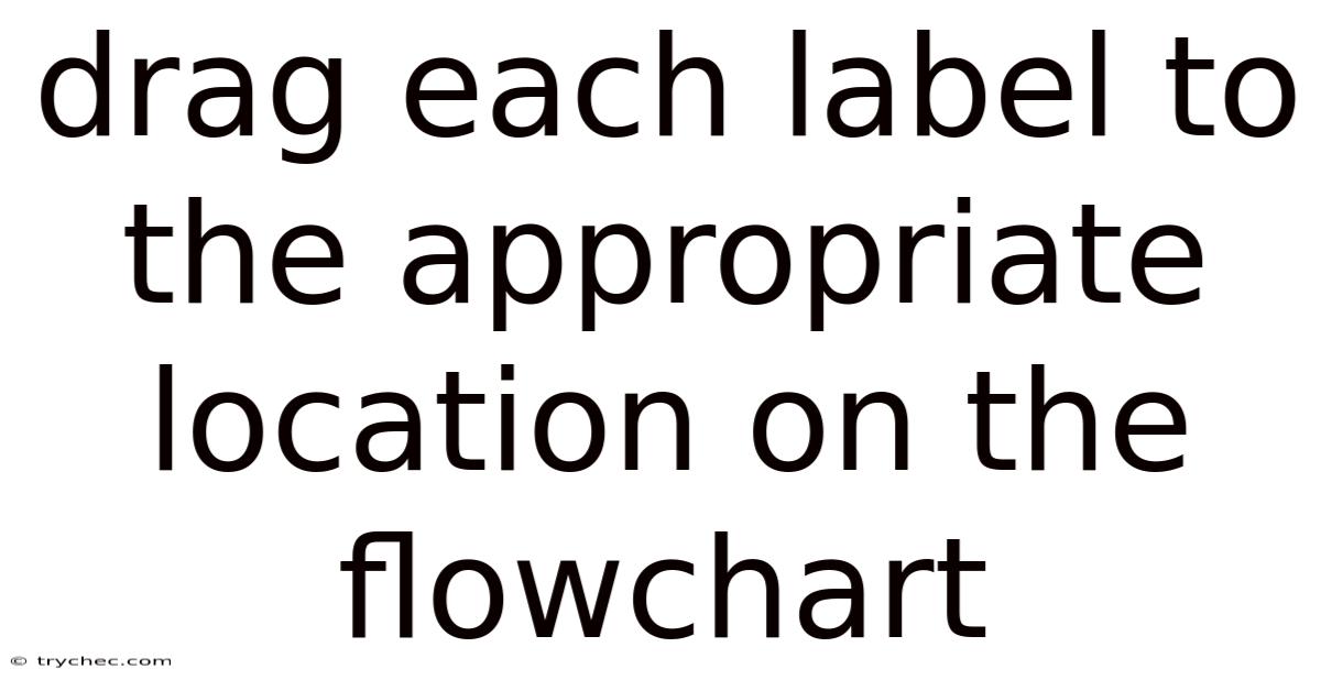 Drag Each Label To The Appropriate Location On The Flowchart