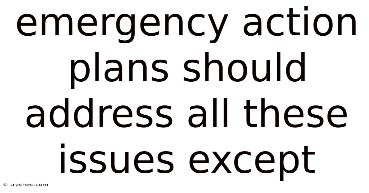 Emergency Action Plans Should Address All These Issues Except