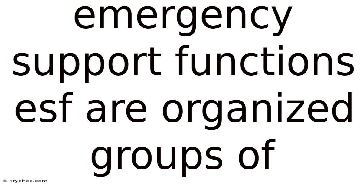 Emergency Support Functions Esf Are Organized Groups Of