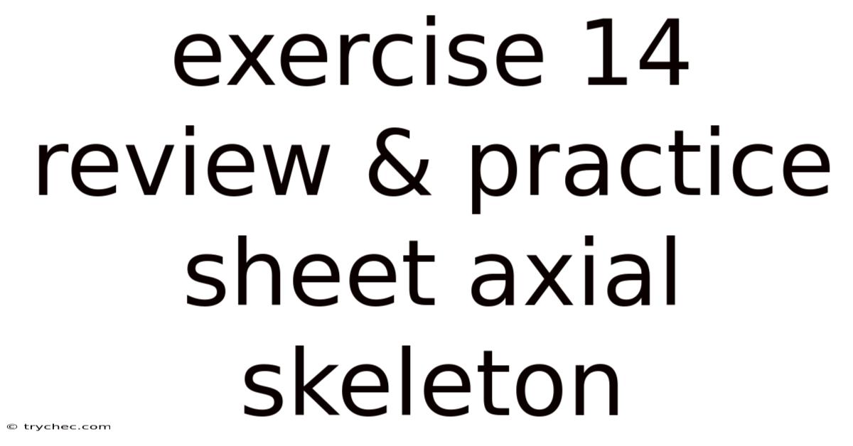 Exercise 14 Review & Practice Sheet Axial Skeleton