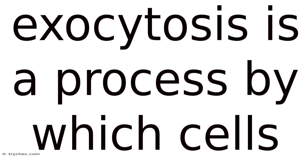 Exocytosis Is A Process By Which Cells
