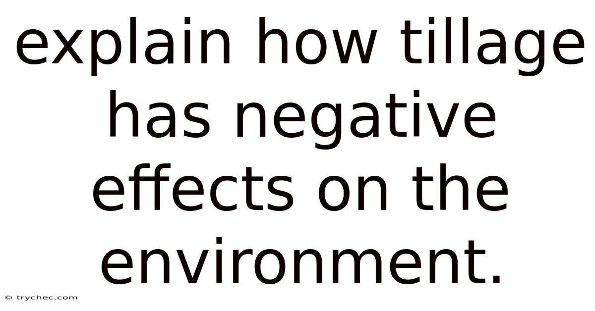 Explain How Tillage Has Negative Effects On The Environment.