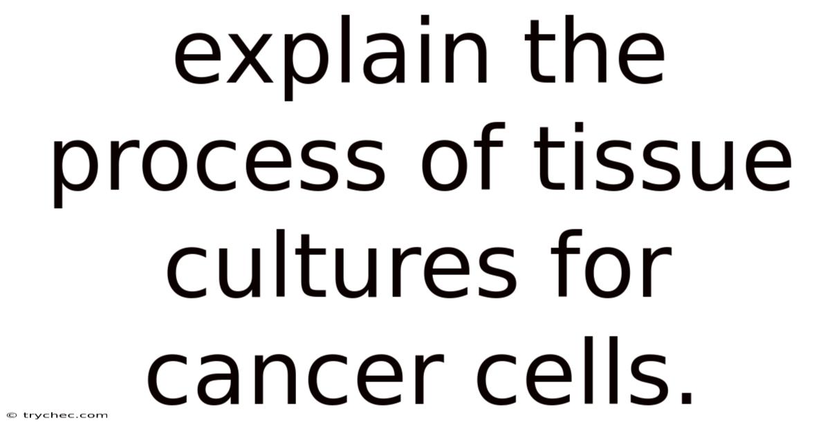 Explain The Process Of Tissue Cultures For Cancer Cells.