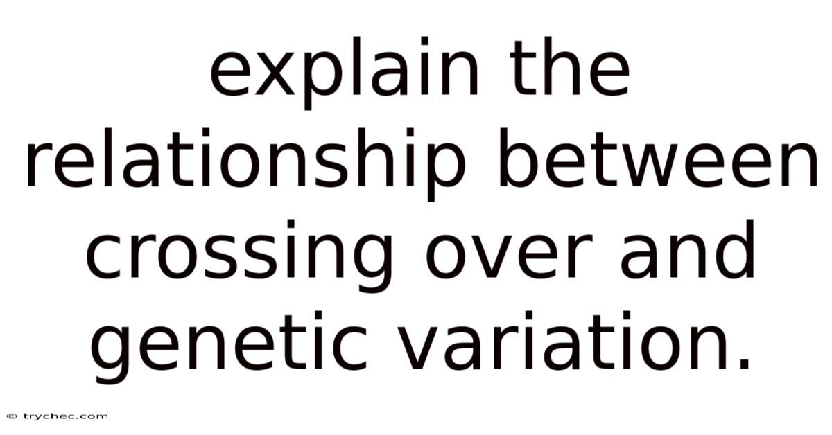 Explain The Relationship Between Crossing Over And Genetic Variation.