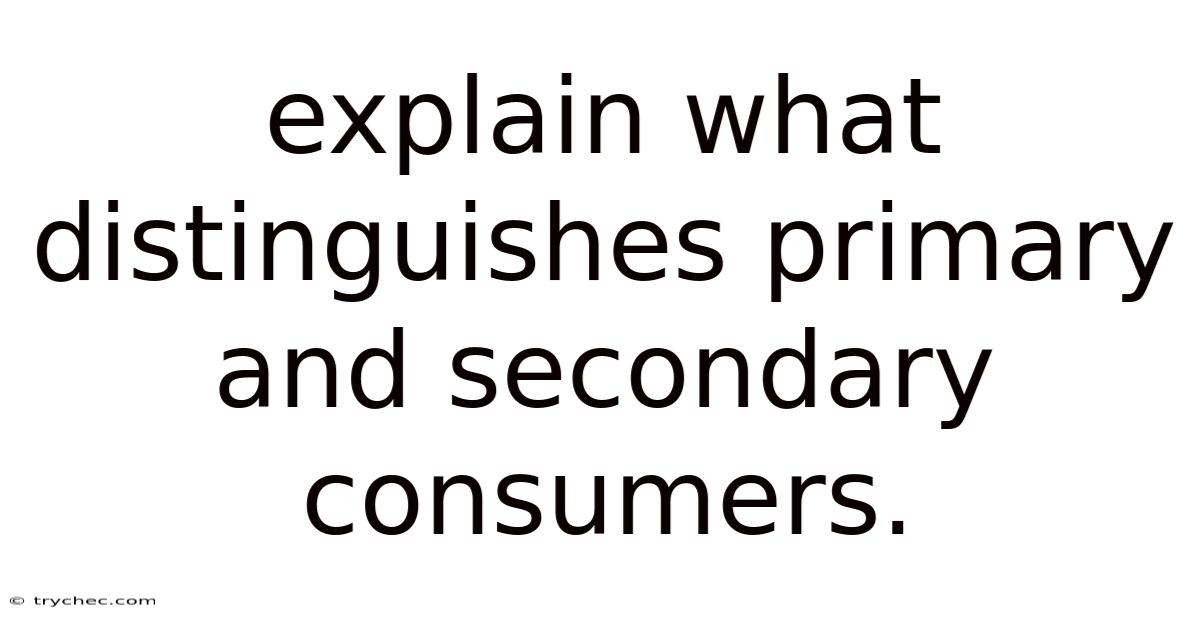 Explain What Distinguishes Primary And Secondary Consumers.