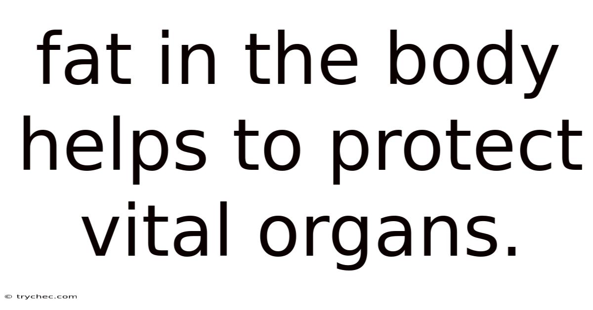 Fat In The Body Helps To Protect Vital Organs.