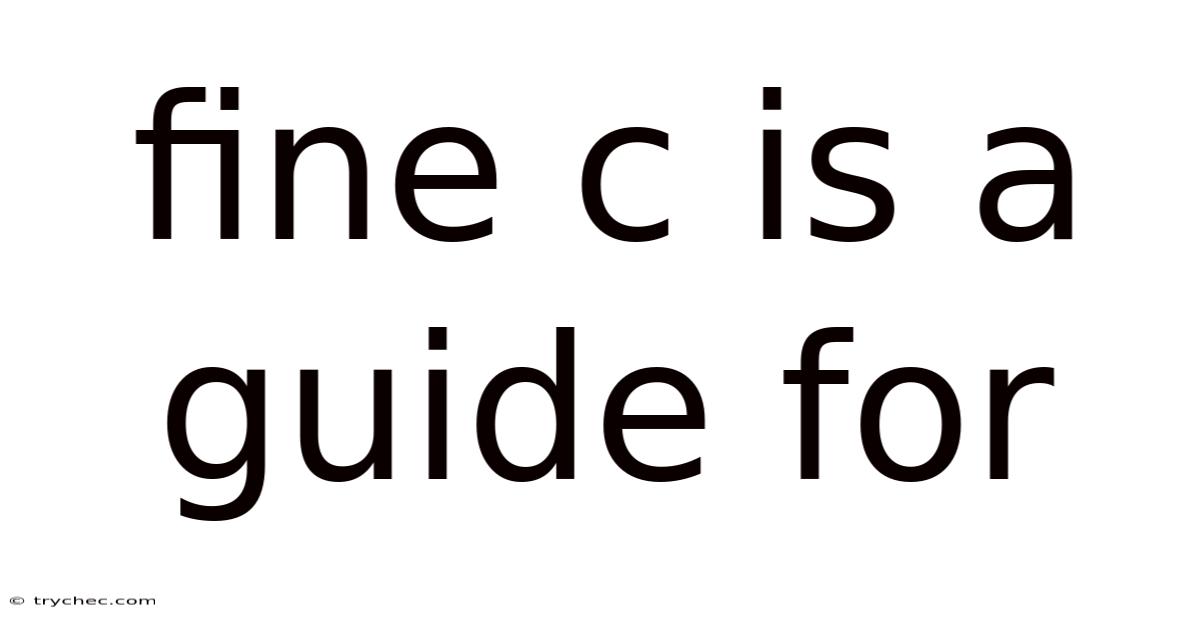 Fine C Is A Guide For