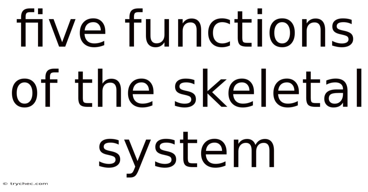 Five Functions Of The Skeletal System