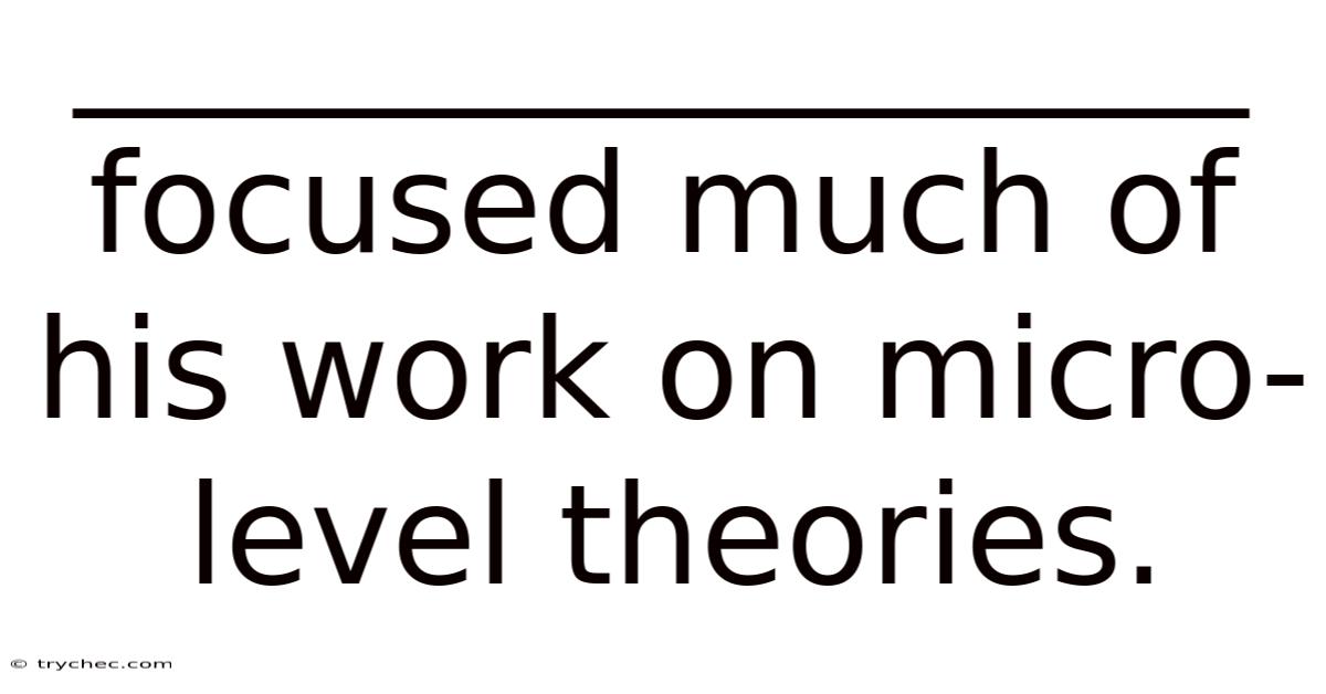 _________________ Focused Much Of His Work On Micro-level Theories.
