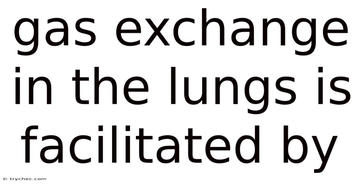 Gas Exchange In The Lungs Is Facilitated By