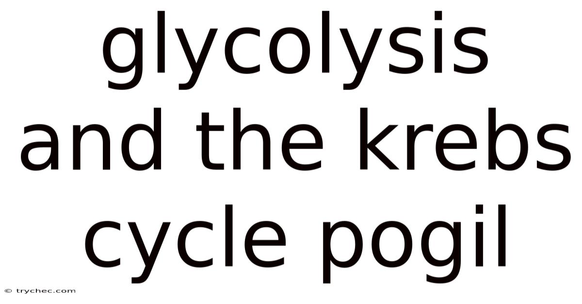 Glycolysis And The Krebs Cycle Pogil