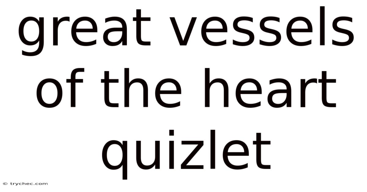 Great Vessels Of The Heart Quizlet