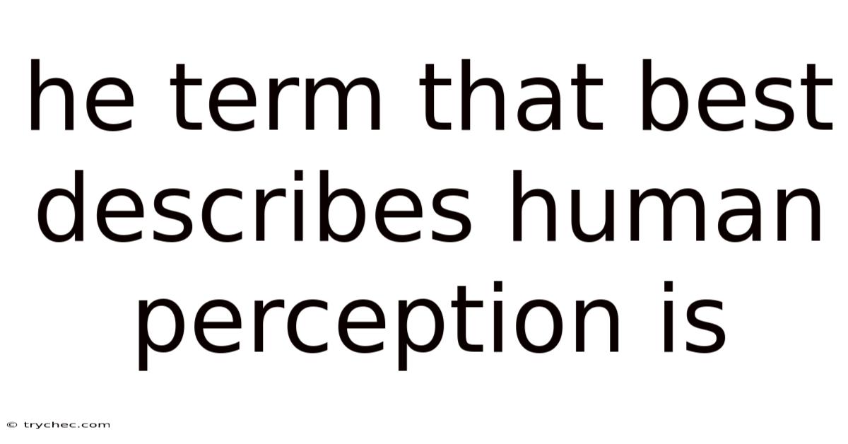 He Term That Best Describes Human Perception Is