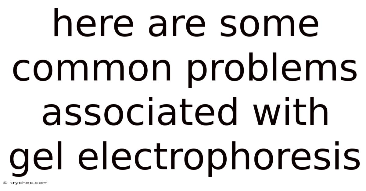 Here Are Some Common Problems Associated With Gel Electrophoresis