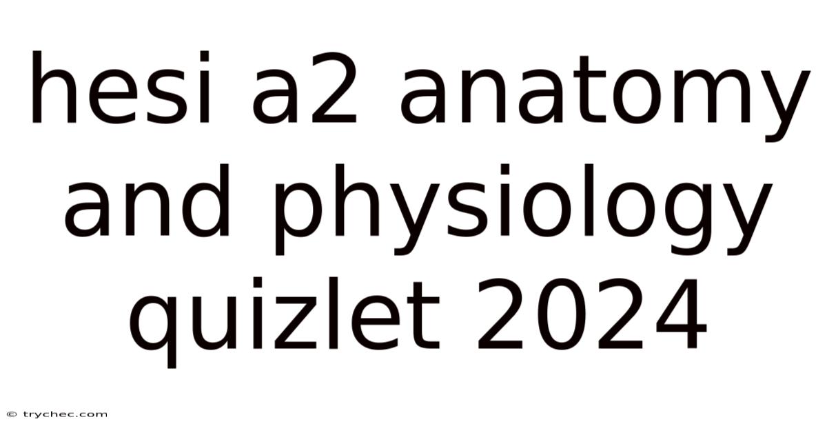 Hesi A2 Anatomy And Physiology Quizlet 2024
