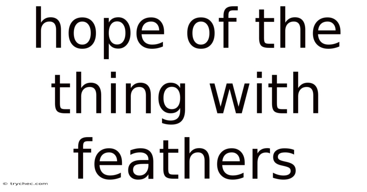 Hope Of The Thing With Feathers