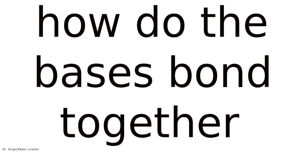 How Do The Bases Bond Together