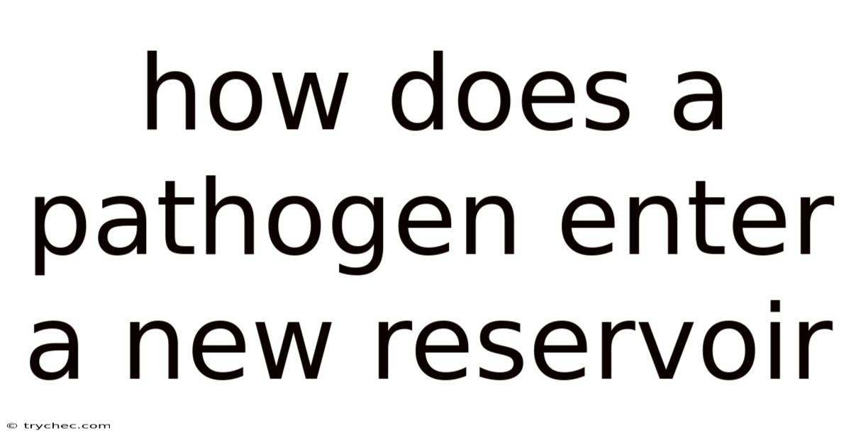 How Does A Pathogen Enter A New Reservoir