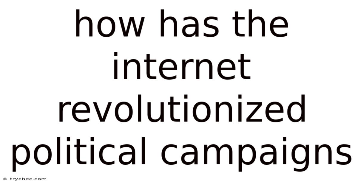 How Has The Internet Revolutionized Political Campaigns