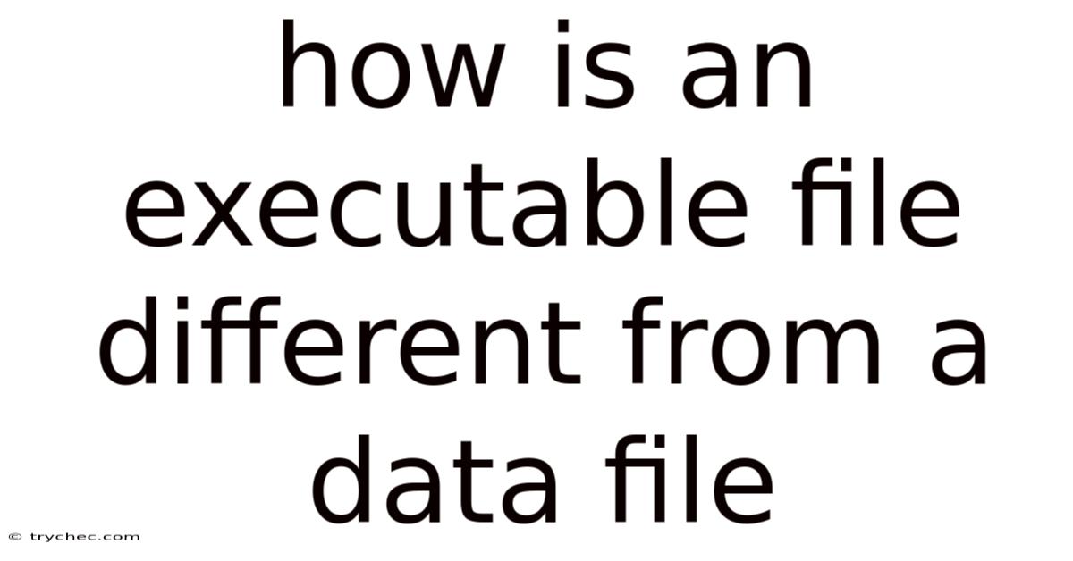 How Is An Executable File Different From A Data File