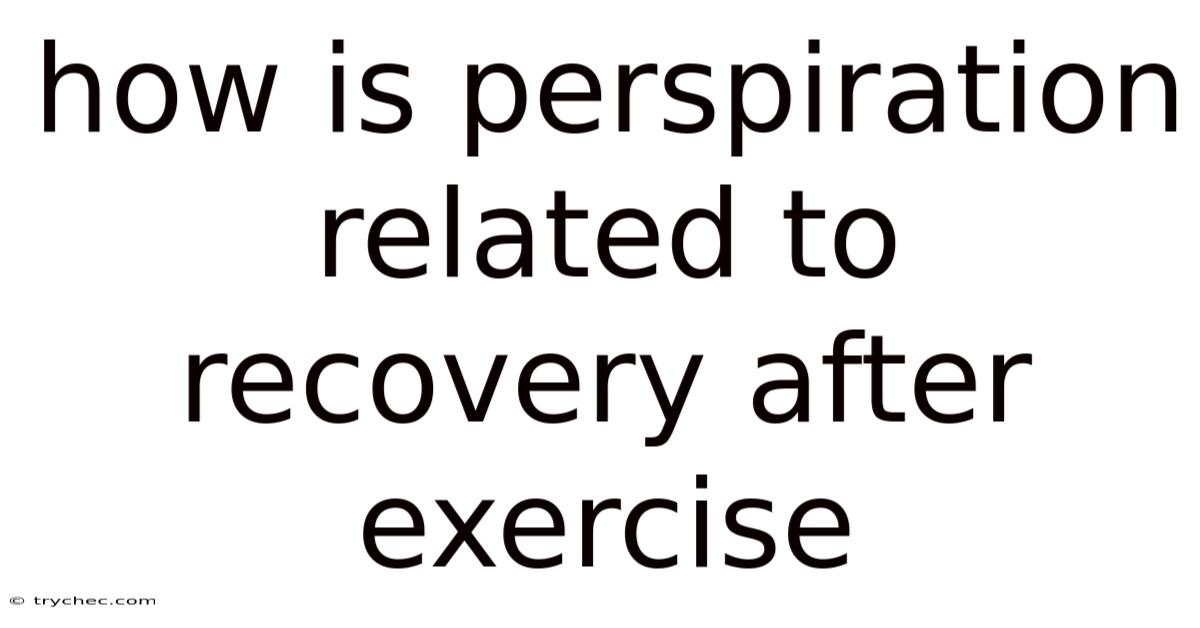 How Is Perspiration Related To Recovery After Exercise