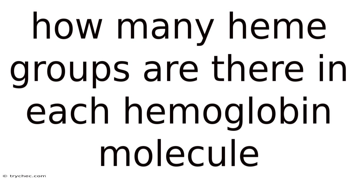 How Many Heme Groups Are There In Each Hemoglobin Molecule