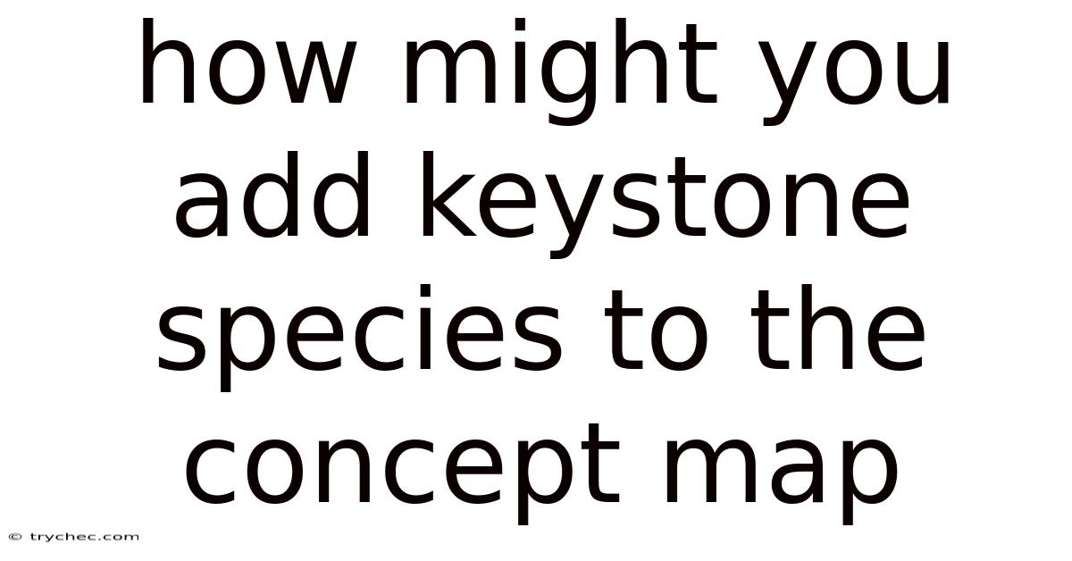 How Might You Add Keystone Species To The Concept Map