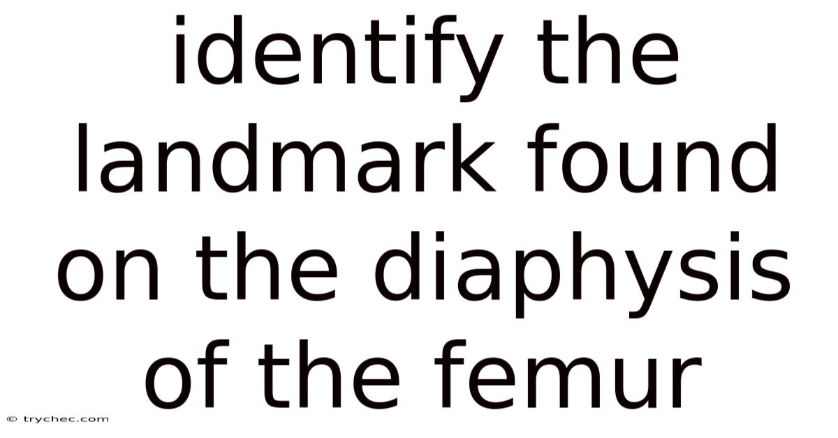 Identify The Landmark Found On The Diaphysis Of The Femur