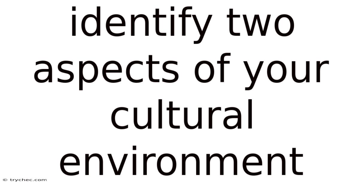 Identify Two Aspects Of Your Cultural Environment