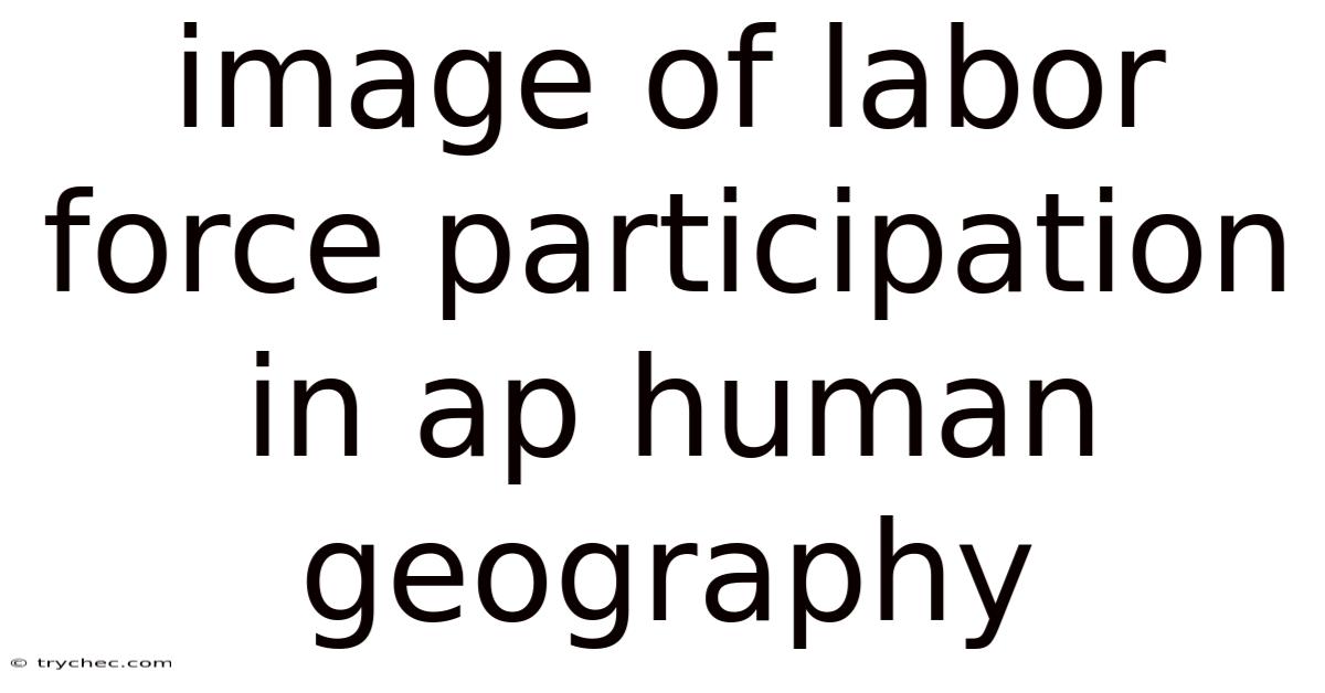 Image Of Labor Force Participation In Ap Human Geography