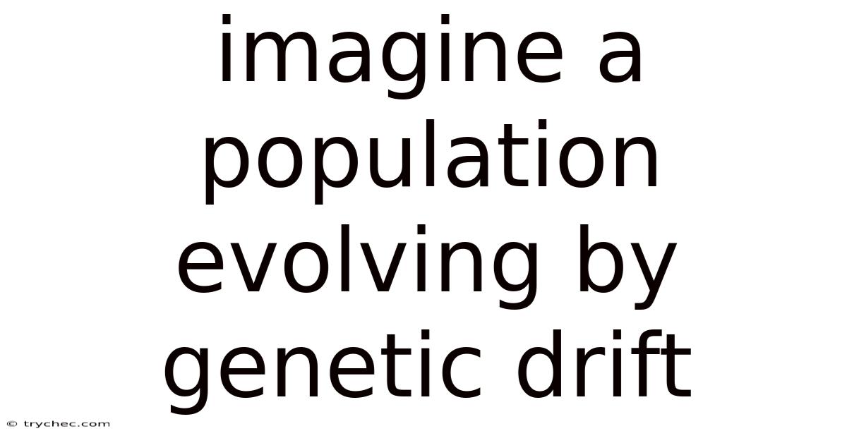 Imagine A Population Evolving By Genetic Drift