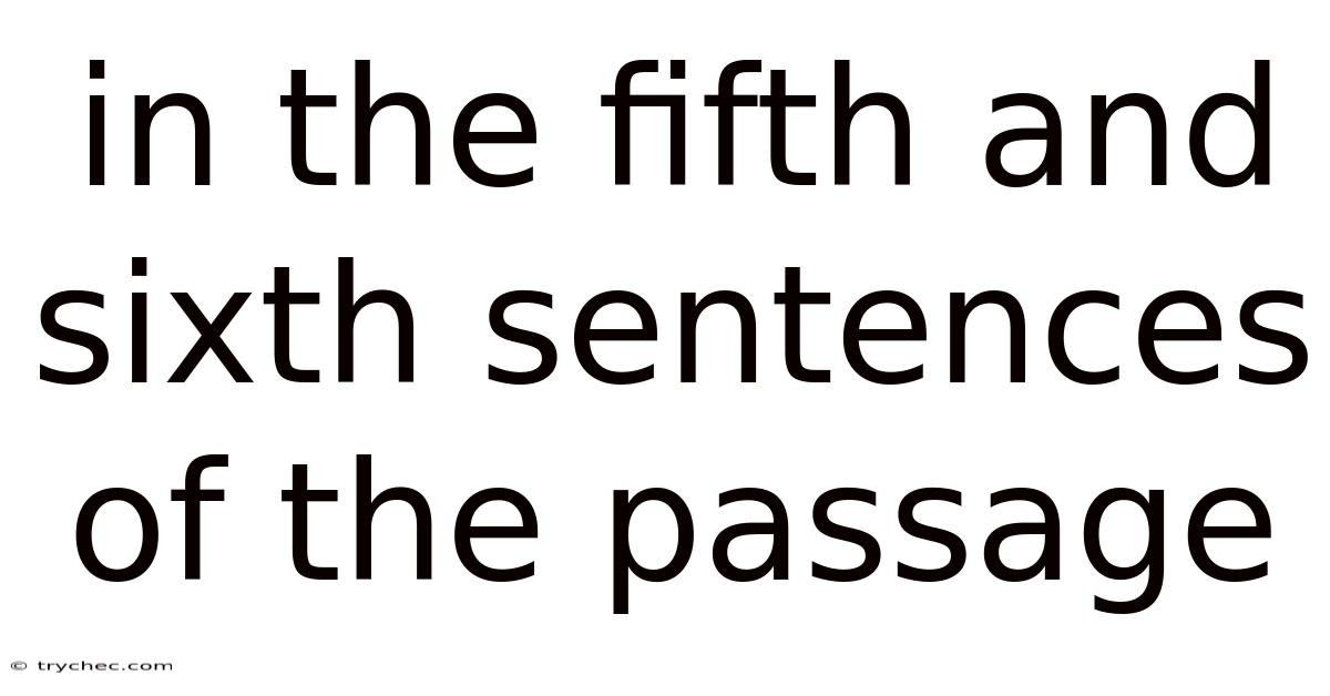 In The Fifth And Sixth Sentences Of The Passage