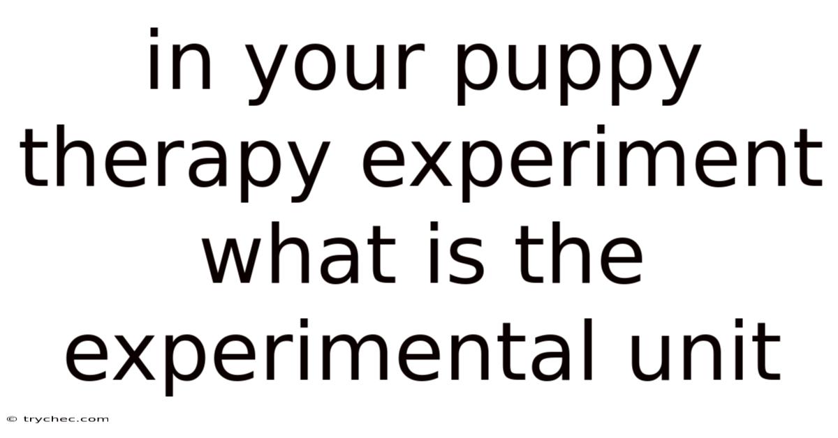 In Your Puppy Therapy Experiment What Is The Experimental Unit
