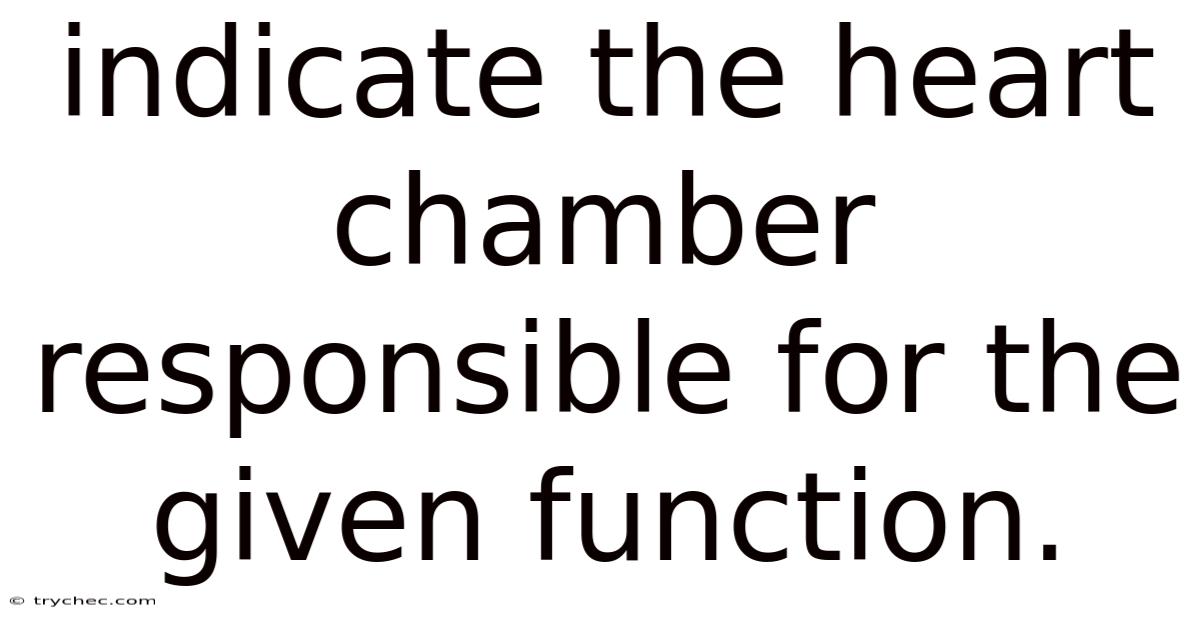Indicate The Heart Chamber Responsible For The Given Function.