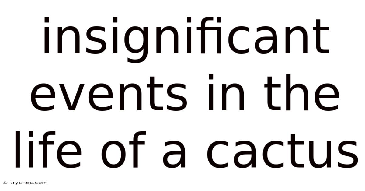 Insignificant Events In The Life Of A Cactus