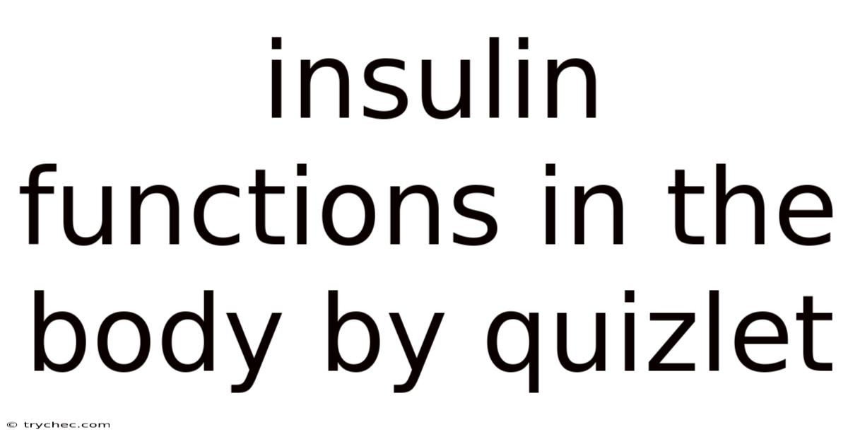 Insulin Functions In The Body By Quizlet